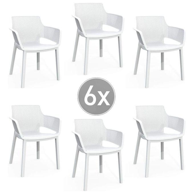 ELISA CHAIR-IMBALLO 6 PEZZI