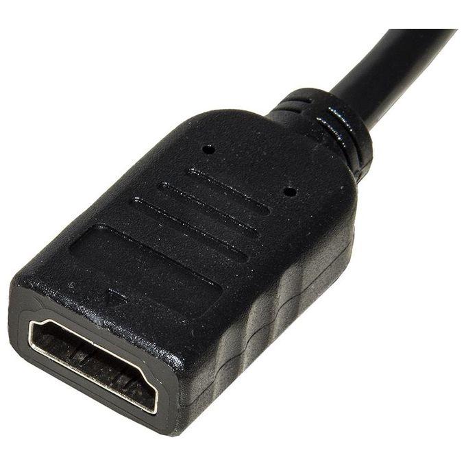 Link Adattatore Displayport Maschio