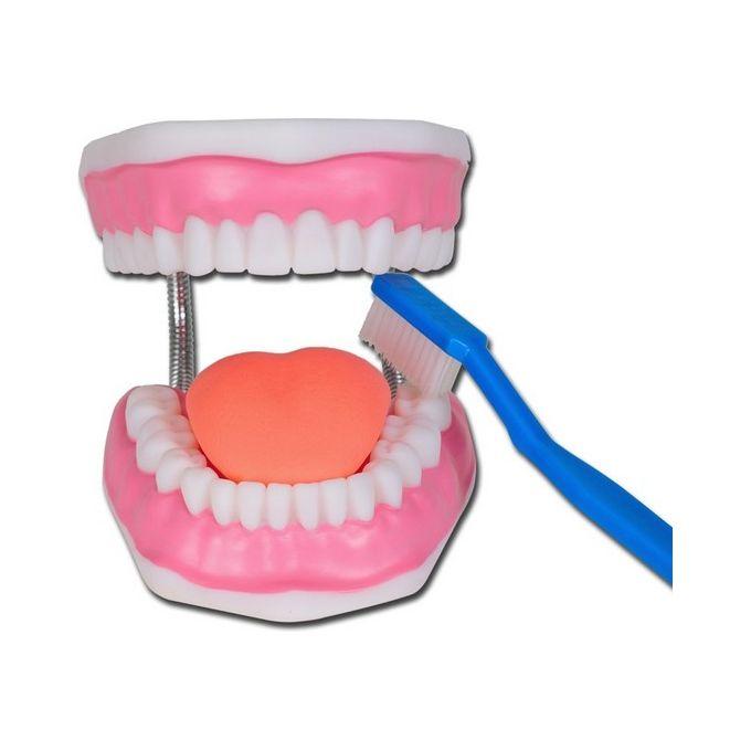 Modello Igiene Dentale Linea