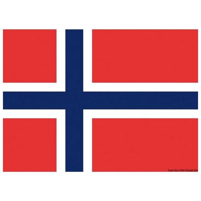 Bandiera Norvegia 20 X