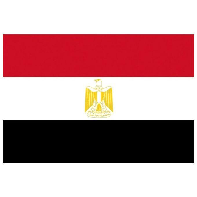 Bandiera Egitto 20 X