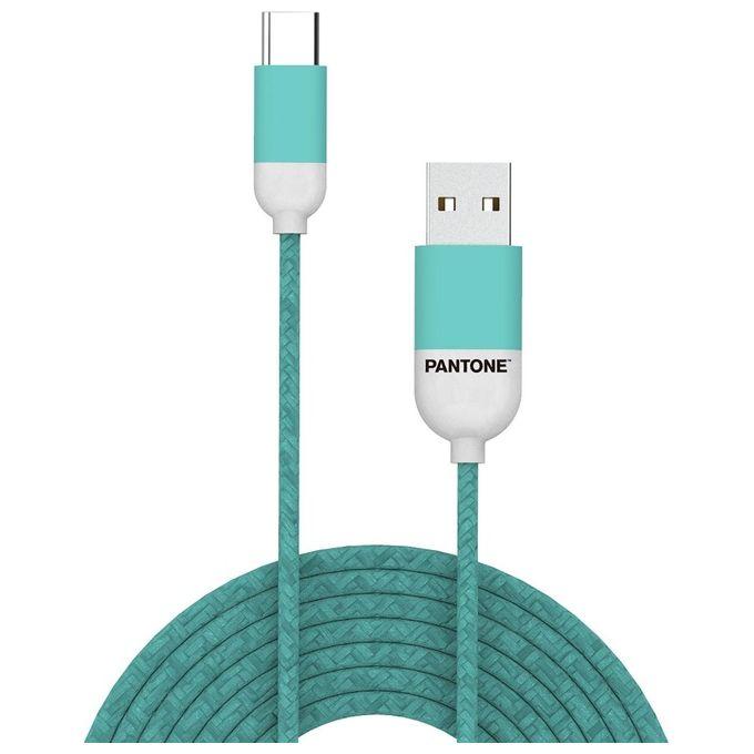 Pantone Cavo Usb-C 3A