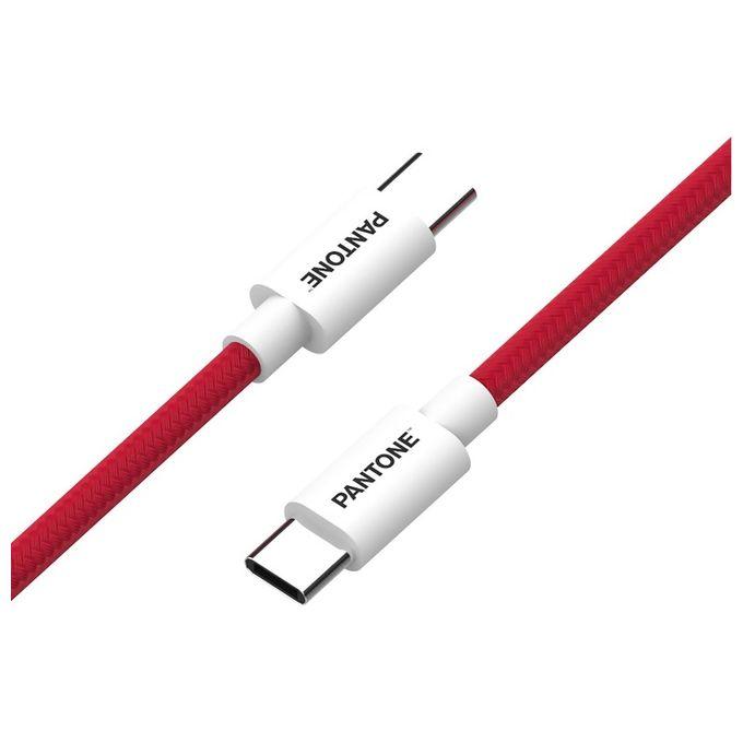 Pantone Cavo USB-C A