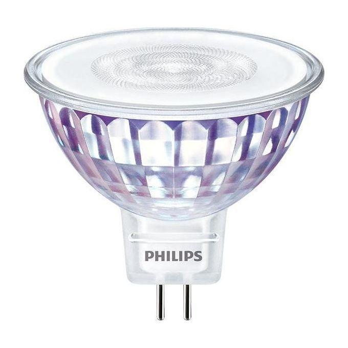 Philips Faretto Led 50W