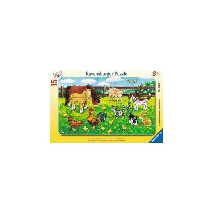 Ravensburger Puzzle 15 Pezzi