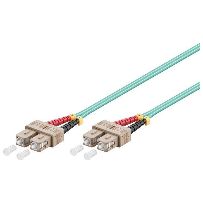 Wp Europe Patch Cord
