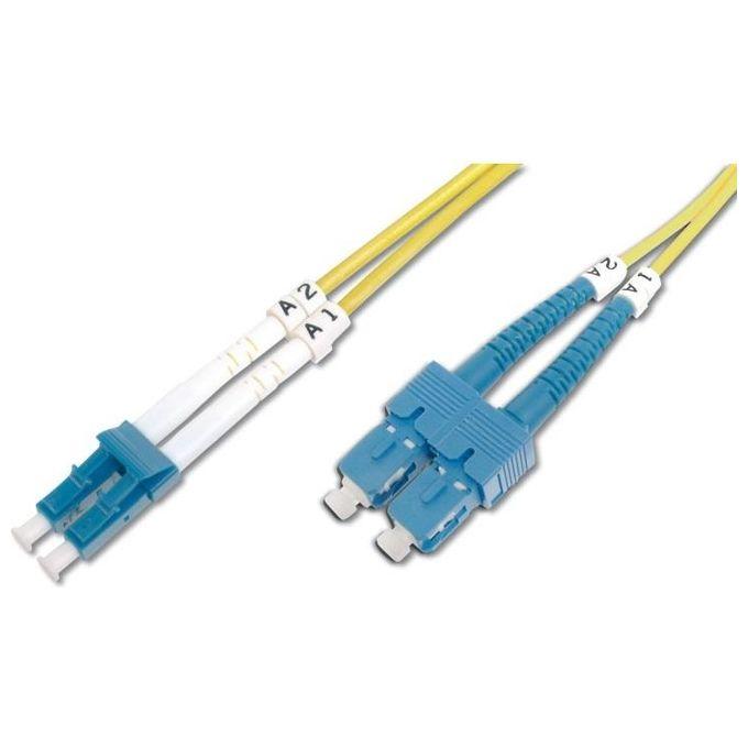 Wp Europe Patch Cord