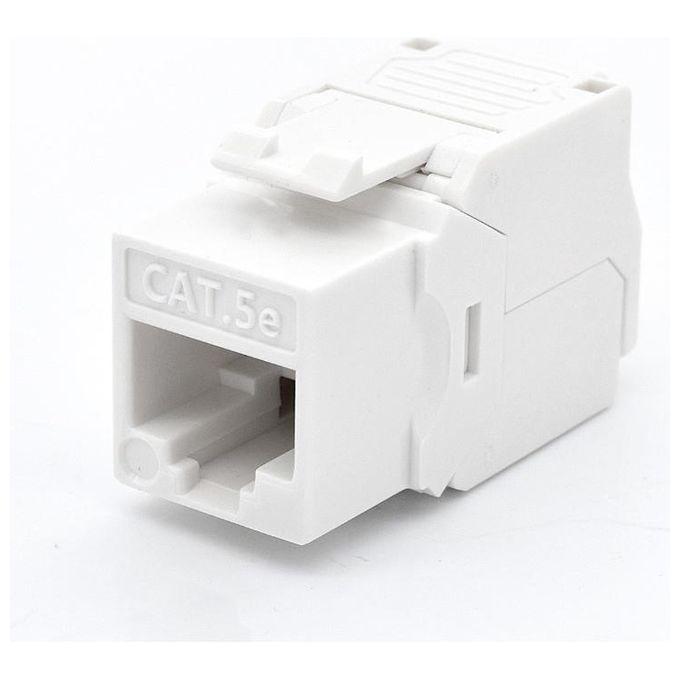 Wp Europe Presa Rj45u