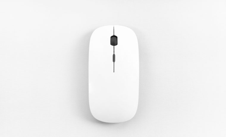 mouse