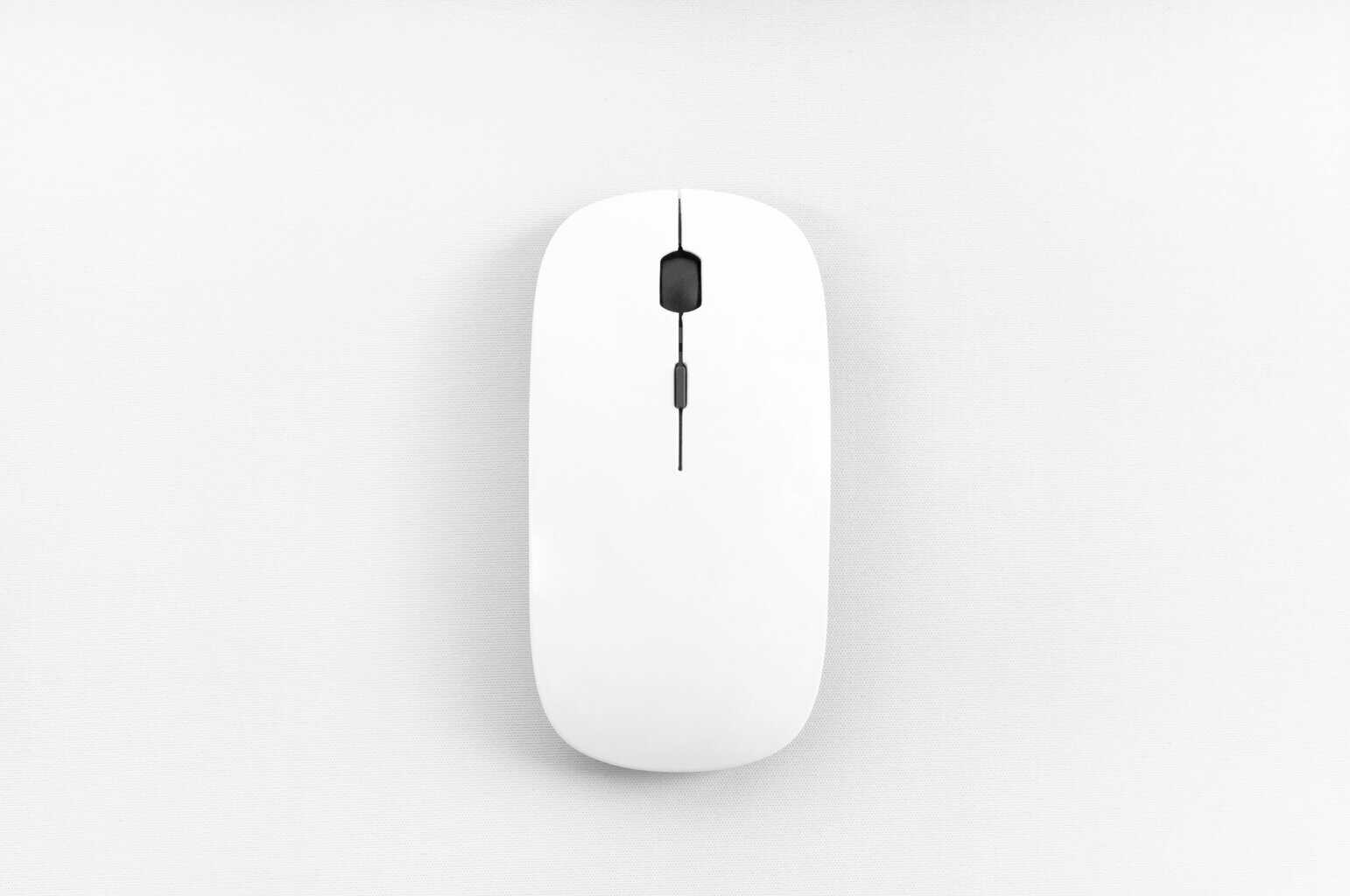 mouse